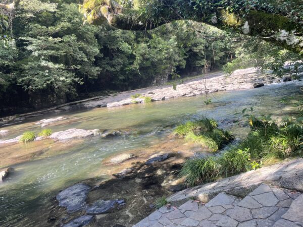 夏も残りわずが、、