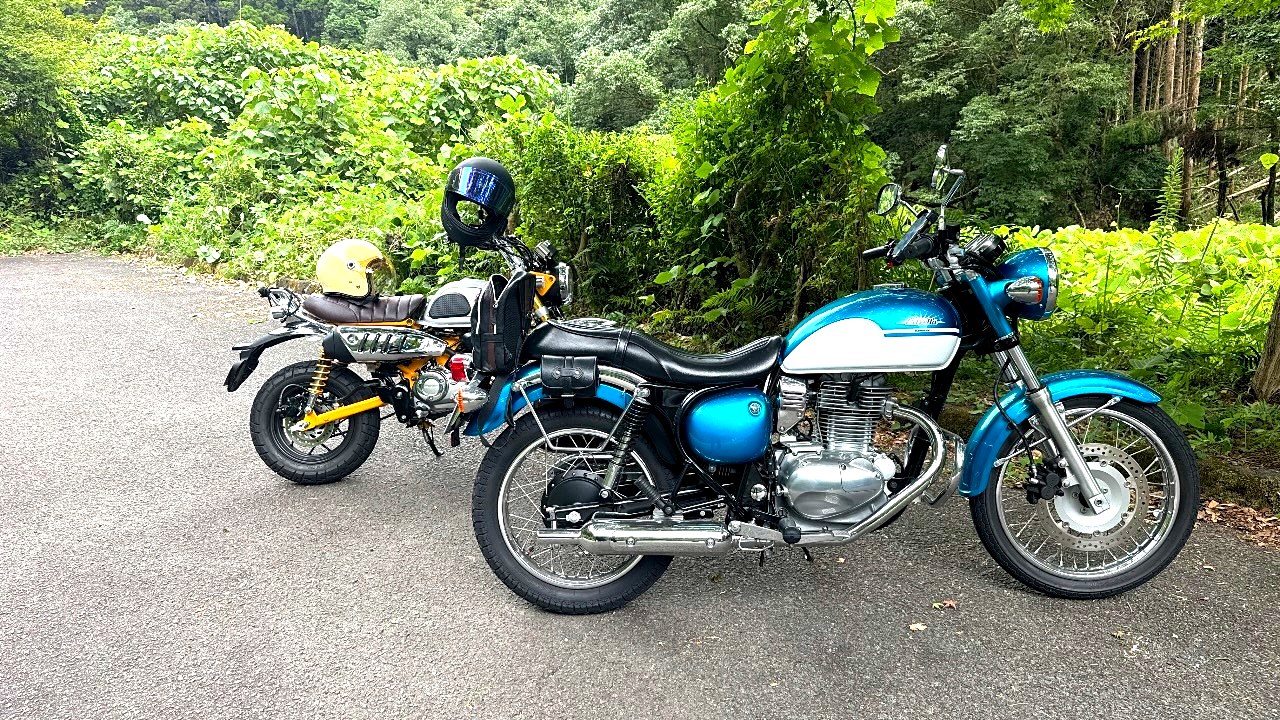 木々に囲まれた道端に並ぶバイク