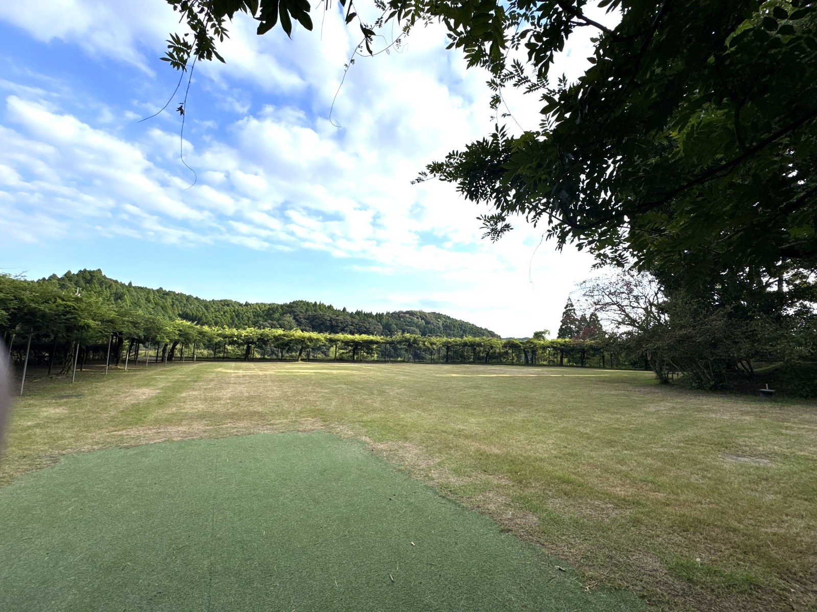 藤棚に囲まれた芝生の広場