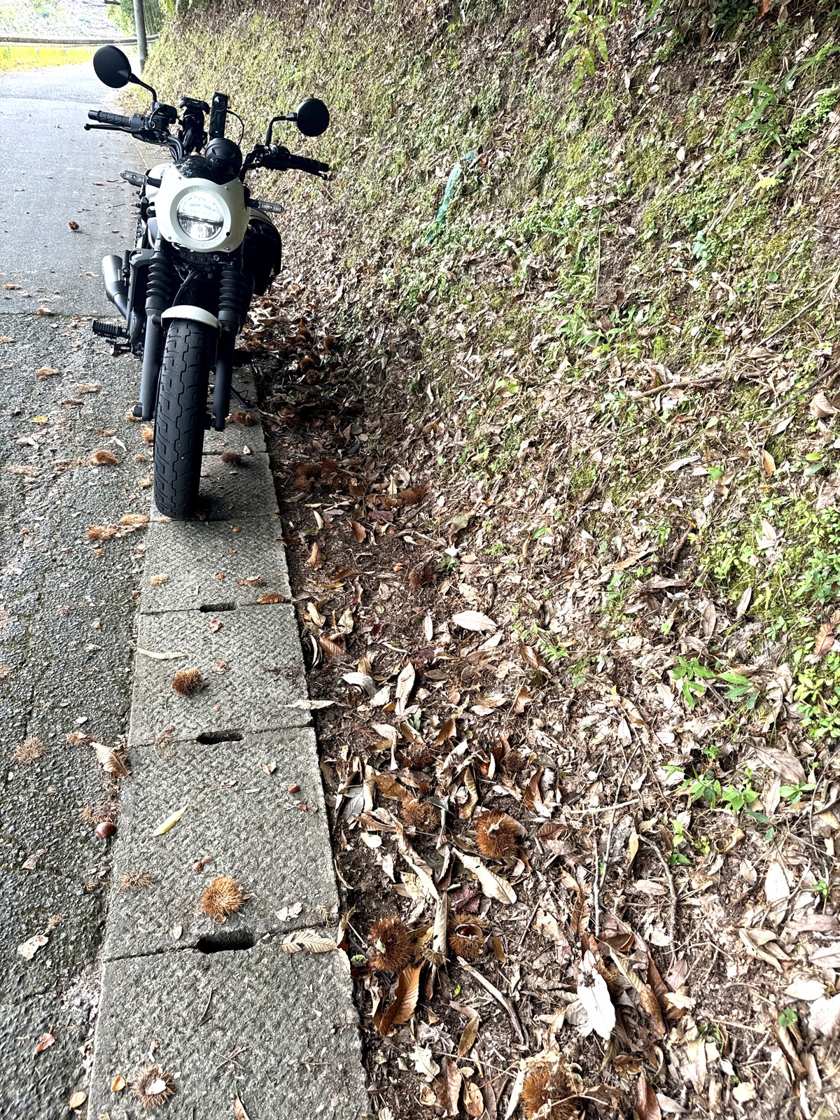 栗のいがや落ち葉が散らばる道端に停めたバイク
